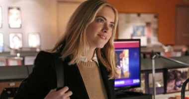 Emily Wickersham's NCIS Season 23 Return Explained: Will Ellie Bishop Stay?