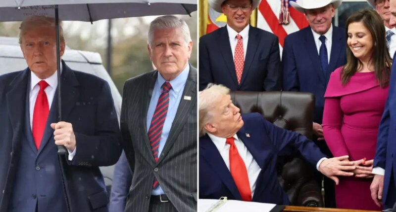 Exclusive | How Trump's divided loyalties sapped Stefanik's campaign