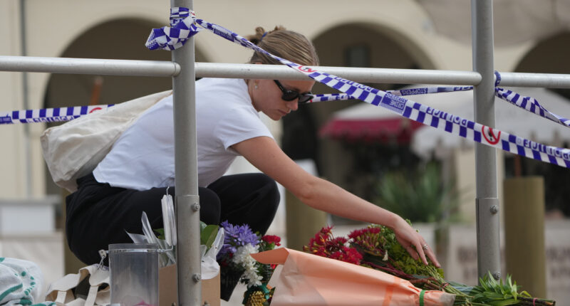 Father and son gunmen kill at least 15 people in attack on Hanukkah event at Sydney's Bondi Beach