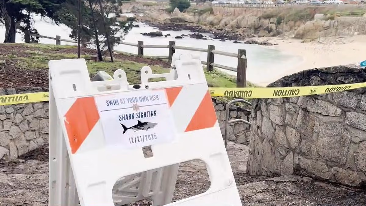 Fears woman is mauled by shark off California coast