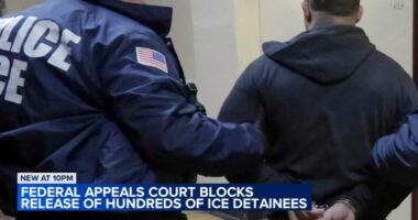 Federal appeals court blocks release of hundred detained by immigration agents in 'Operation Midway Blitz' across Chicago area