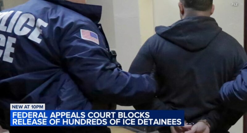 Federal appeals court blocks release of hundred detained by immigration agents in 'Operation Midway Blitz' across Chicago area
