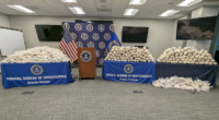 Feds arrest felon illegal immigrant after seizing tens of millions in meth stashed in blackberries