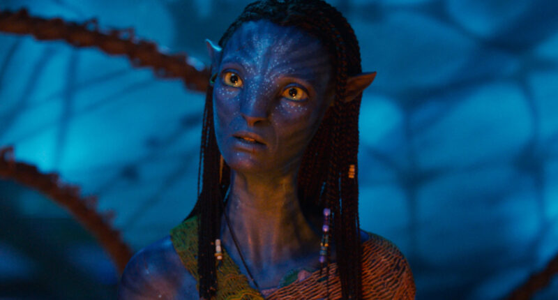 Fire And Ash's Most Confusing Moments Explained