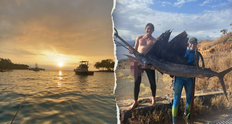 Fisherman survives near-fatal shark attack with own lifesaving care, instincts that kept him alive