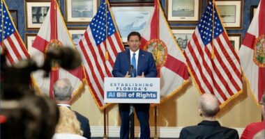 Florida Gov. Ron DeSantis proposes 'AI Bill of Rights' for citizens