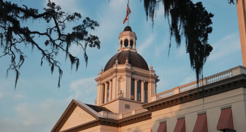 Florida Senator files law on strengthening grandparent visitation