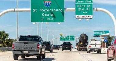 Florida law penalizes people who block, alter visibility of license plates