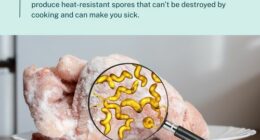 The NSW Food Authority shared this image to its official Facebook page.