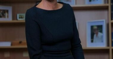 Former Liberal MP Katie Allen dies of rare cancer