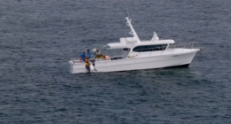 Four-metre tiger shark caught on drumline off popular beach