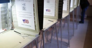 GOP Secures Major Ballot-Security Victory in Michigan to Close Out 2025