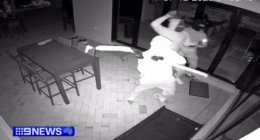 Gang jumps fence, smashes door to steal two BMWs in Logan home invasion