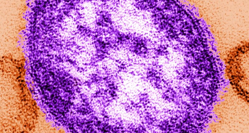 Georgia pediatrician urges parents to stay vigilant, measles cases rising nearby