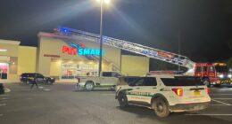 Girl with special needs rescued from roof of Lake City PetSmart