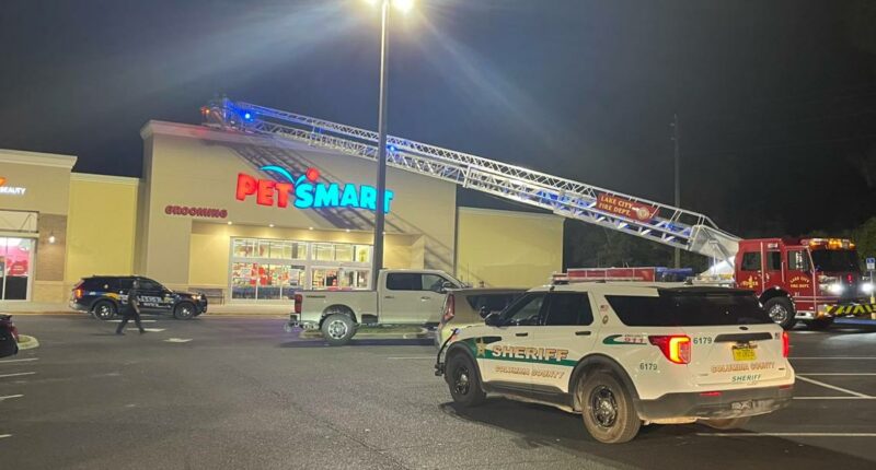 Girl with special needs rescued from roof of Lake City PetSmart