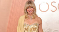 Goldie Hawn's Latest Appearance Has Everyone Yapping For The Wrong Reasons