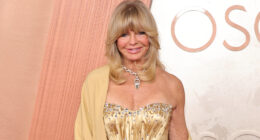 Goldie Hawn's Latest Appearance Has Everyone Yapping For The Wrong Reasons