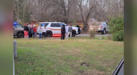 Grandfather, 3-month-old granddaughter dead after ‘apparent mauling by pit bulls’: officials