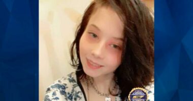 HOLLYNN, 19, MIND OF 10 Y.O., VANISHES FROM PARTY, SPARKS SERIAL KILLER FEAR