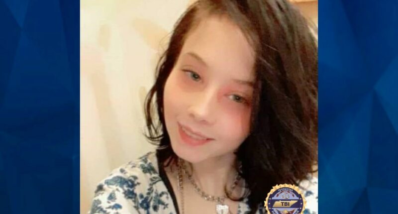 HOLLYNN, 19, MIND OF 10 Y.O., VANISHES FROM PARTY, SPARKS SERIAL KILLER FEAR