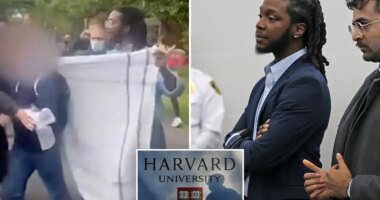 Harvard hires Divinity School graduate Elom Tettey-Tamaklo who faced assault charges against an Israeli student at a protest