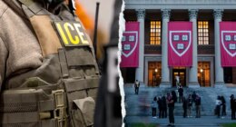 Harvard professor detained by ICE after Boston synagogue shooting, agrees to voluntarily leave US
