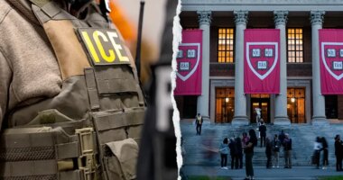 Harvard professor detained by ICE after Boston synagogue shooting, agrees to voluntarily leave US