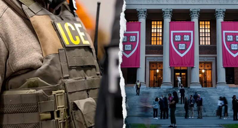 Harvard professor detained by ICE after Boston synagogue shooting, agrees to voluntarily leave US