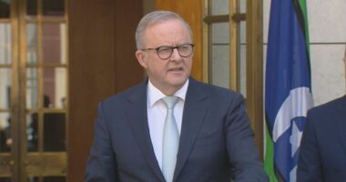 Prime Minister Anthony Albanese has announced a range of new hate speech laws to combat the rise in anti-Semitism.