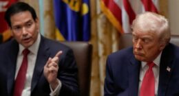 He loves to hammer 'Sleepy Joe'. He's turning into 'Sleepy Don'