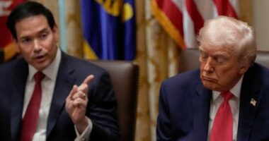 He loves to hammer 'Sleepy Joe'. He's turning into 'Sleepy Don'