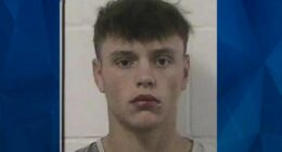 High School Wrestling Star Arrested, Rips Girl’s Hair Out During Sexual Assault: Police