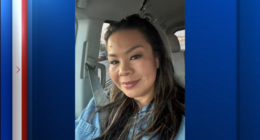 Houston, Texas crash: Driver hits, kills Xochitl Santos, mother of 4, in her own driveway while chasing girlfriend, police say