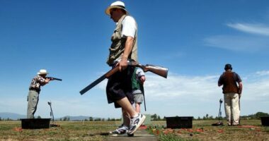 How current Australian gun laws covering rifles and shotguns work