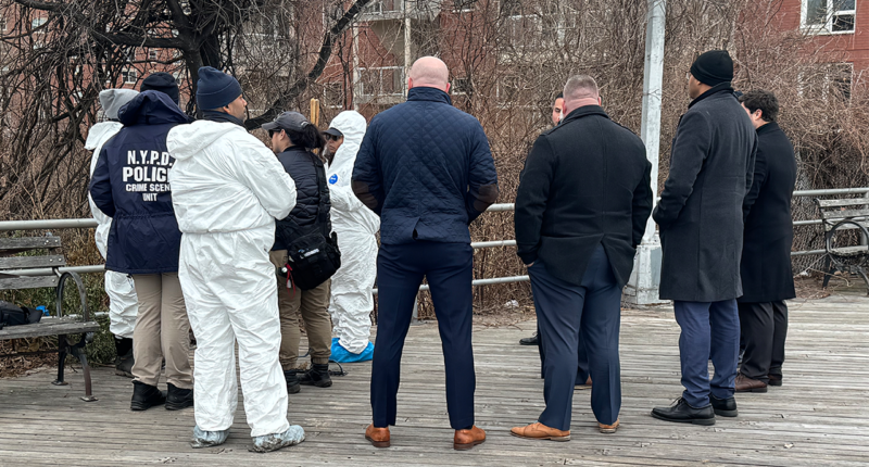 Human skull, other remains found in bushes by Brooklyn's Coney Island as investigators work to unravel mystery