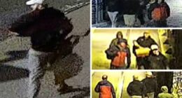 Hundreds of artefacts stolen from Bristol Museum