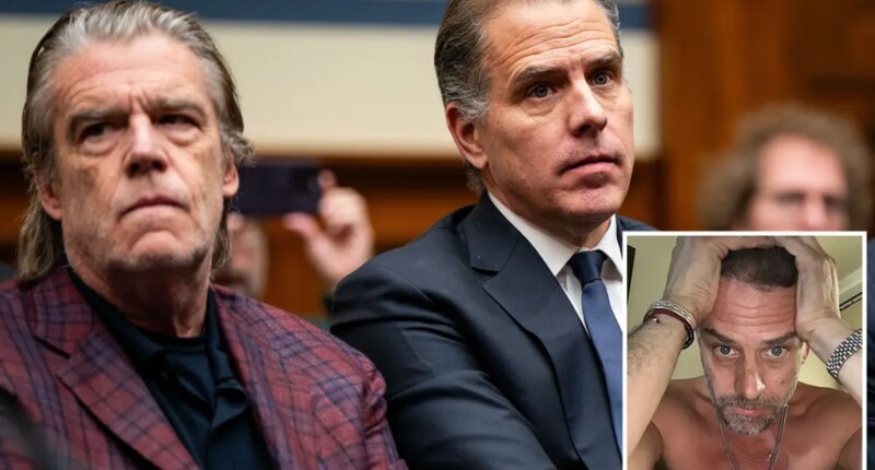 Hunter Biden's 'sugar brother' Kevin Morris moves to drop lawsuit over alleged doxxing, harassment
