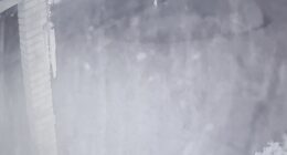 'I thought it was a firework': Neighbors recall deadly Sandalwood shooting caught on surveillance