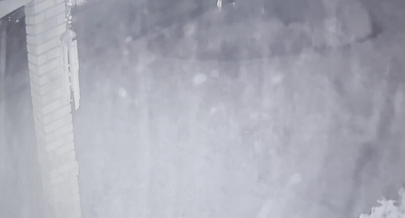 'I thought it was a firework': Neighbors recall deadly Sandalwood shooting caught on surveillance