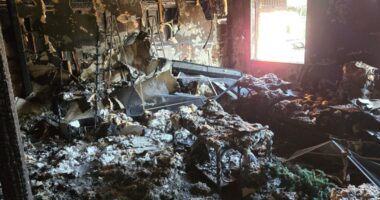 'I wouldn't wish this on anyone': Family of nine loses everything in Arlington housefire