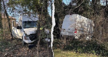 ICE agents open fire on van driver who allegedly tried to run them over on Christmas Eve