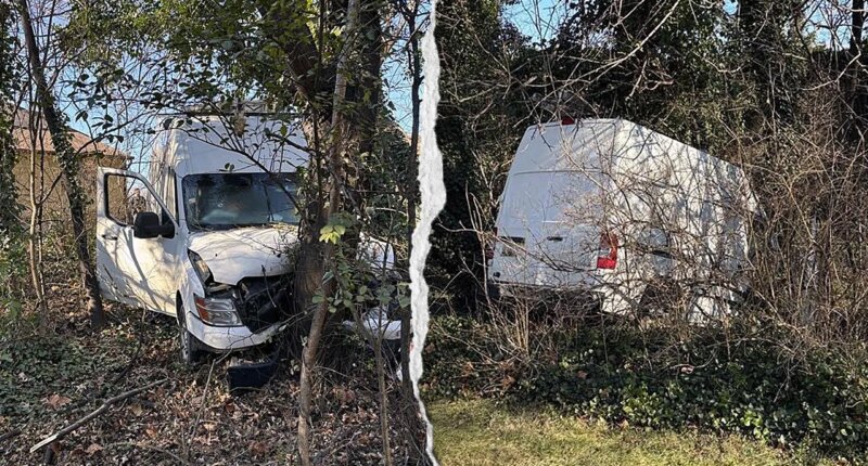 ICE agents open fire on van driver who allegedly tried to run them over on Christmas Eve