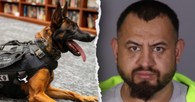 Illegal immigrant gang member killed police K-9 'Spike' before officers returned fire in California: source