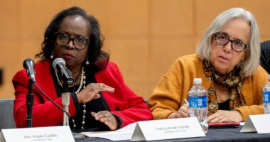Illinois Accountability Commission Vice Chair Patricia Brown Holmes, left, speaks during the commission