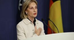 Special Envoy to Combat Antisemitism Jillian Segal holds a press conference at Commonwealth Parliamentary Offices in Sydney. Thursday July 10th, 2025.