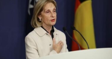 Special Envoy to Combat Antisemitism Jillian Segal holds a press conference at Commonwealth Parliamentary Offices in Sydney. Thursday July 10th, 2025.