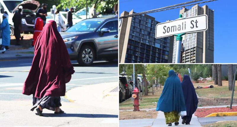 Inside ‘Little Mogadishu’: Minnesota’s beleaguered Somali community under a cloud of fraud and Trump attacks