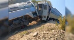 Interoceanic Train derails in southern Mexico, killing at least 13 and injuring dozens