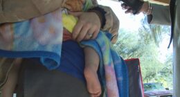 'It's just sad': Jacksonville neighbor describes chaos after officer-involved shooting